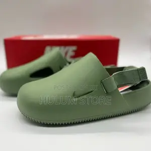 Photo - Original Nike Shoe