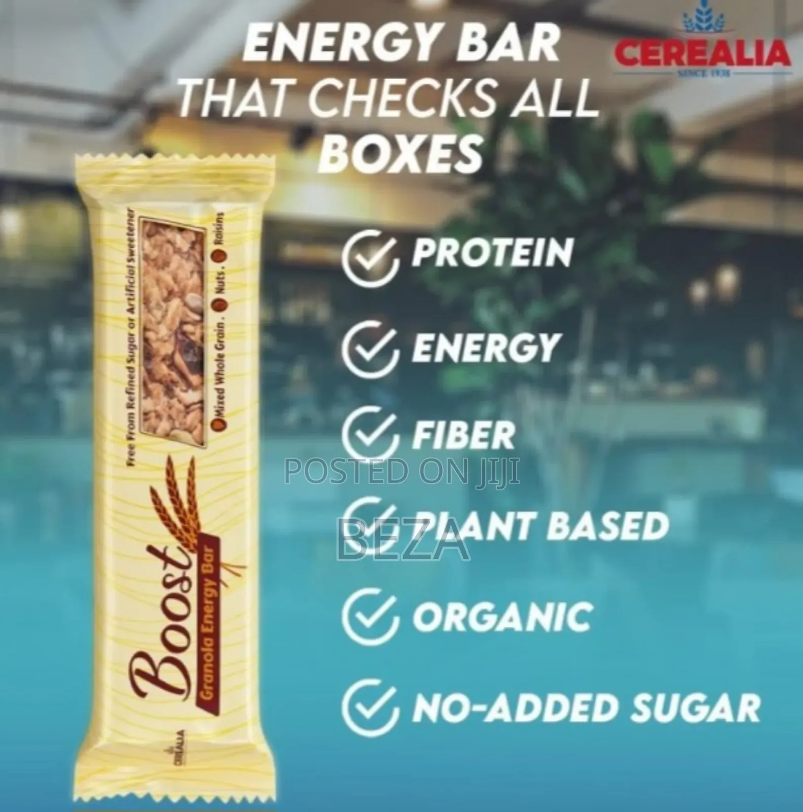 Boost Protein and Energy Bar