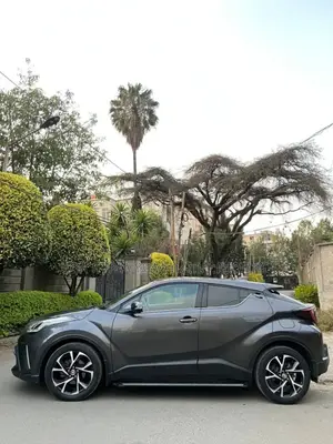 Toyota C-HR 2020 Gray