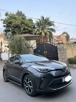 Toyota C-HR 2020 Gray