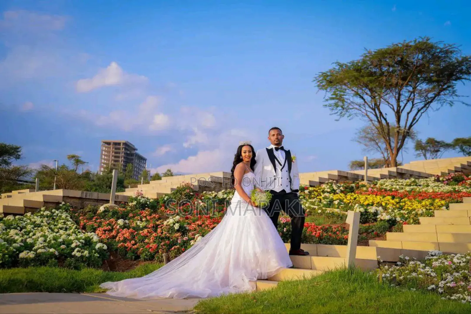 ቬሎ በቅናሽ ዋጋ