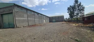 Photo - Yemikriyi Magzen