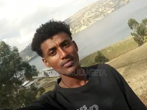 Photo - Male Driver