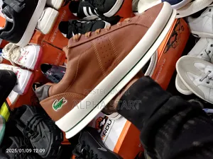 Lacoste Brown High Quality Shoes for You