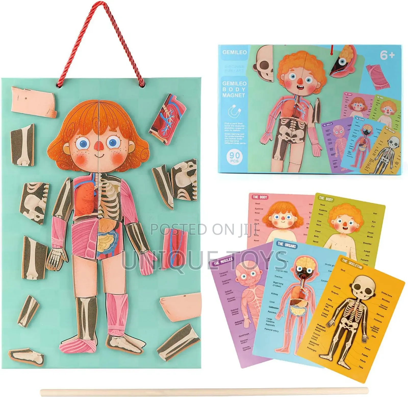 5-in-1 Human Body Magnetic Puzzle, 90 PCS