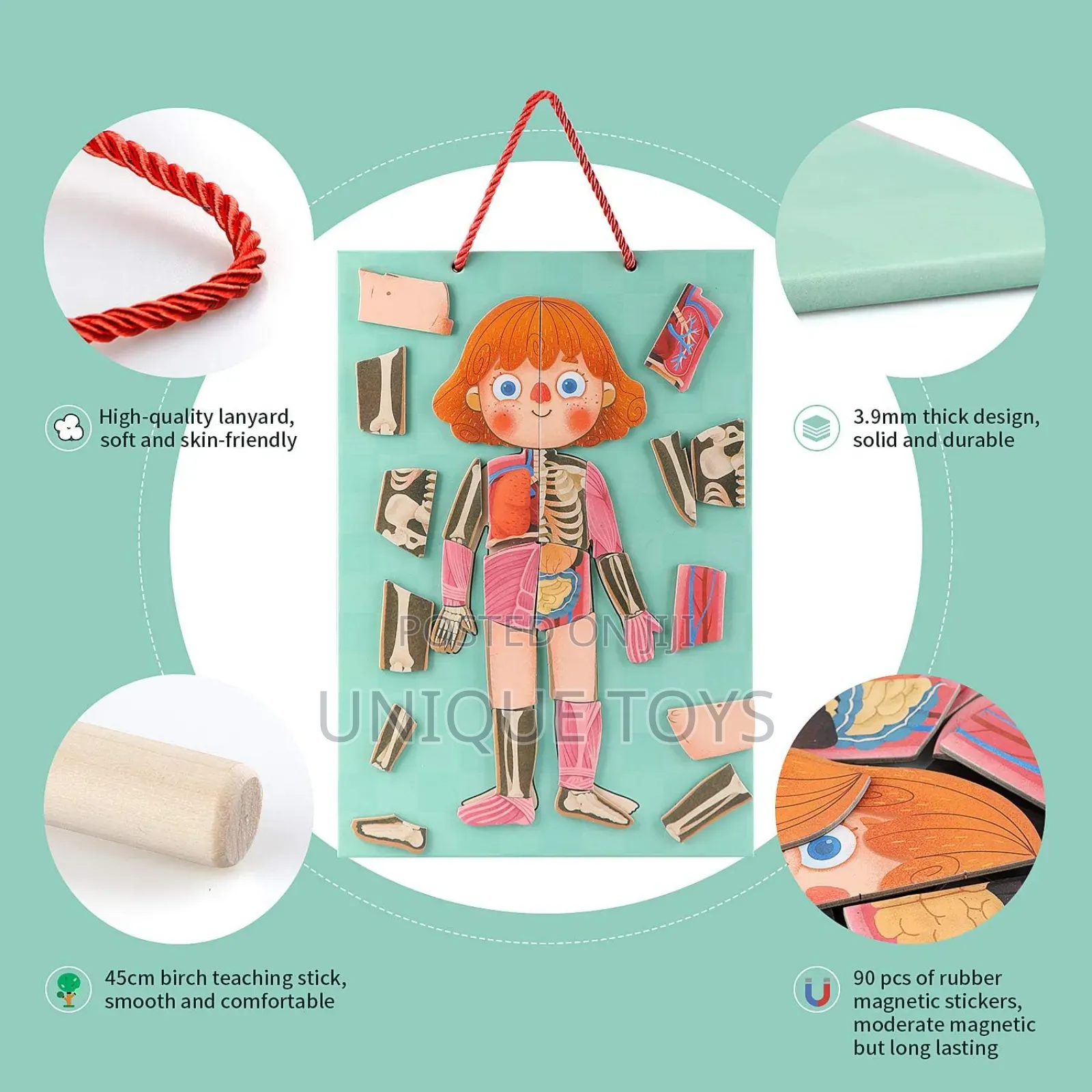 5-in-1 Human Body Magnetic Puzzle, 90 PCS