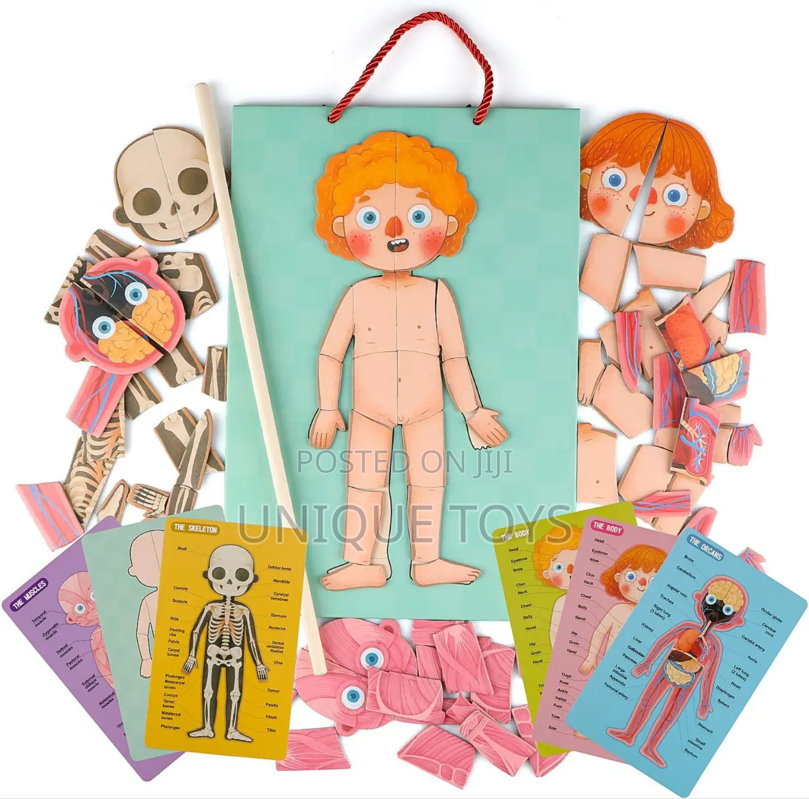 5-in-1 Human Body Magnetic Puzzle, 90 PCS