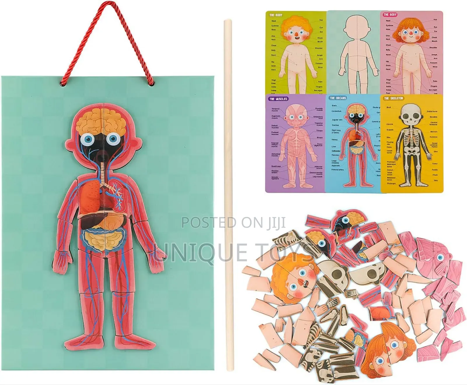 5-in-1 Human Body Magnetic Puzzle, 90 PCS