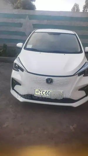 Photo - Urgent Rental Electric Car