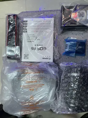 Canon R6 Mark 2 With 24-105mm Silver Ring