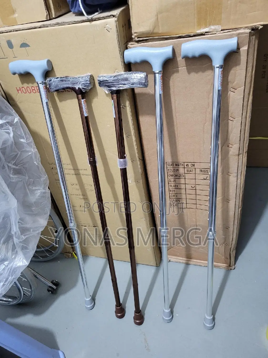 Unwavering:Walking Stick outdoor Activities for Elder Senior