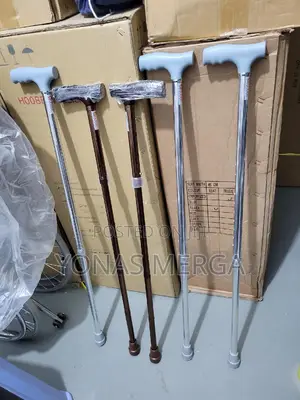 Photo - Unwavering:Walking Stick outdoor Activities for Elder Senior