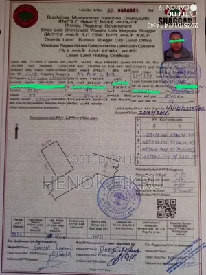 T ላይ፣Digital ካርታ ያለው፣ 140m2 መሬት ለገጣፎ ወርገኑ መተባበር ርሪል ስቴት ጀርባ