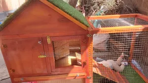 Rabbit Chicken Any Small Animal House With Playing Areas