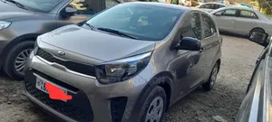 Kia Picanto 2021 Gray