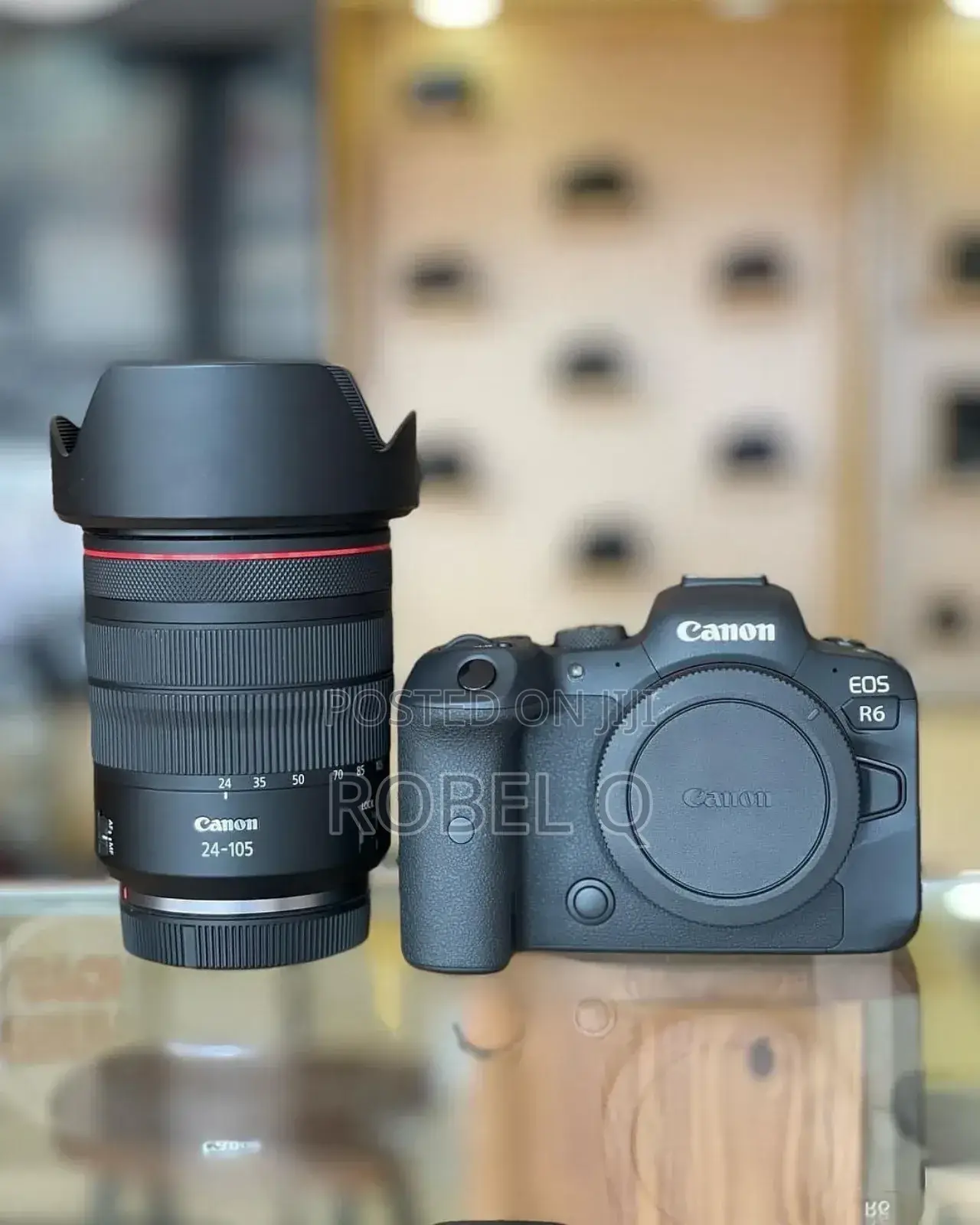 Canon R6 Mark 1 With 24-105mm Usm Lens