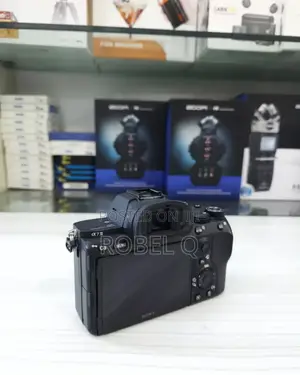 Sony Alpha 7 Mark 3 《