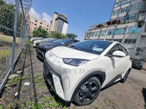 New BYD Seagull 2024 Ivory