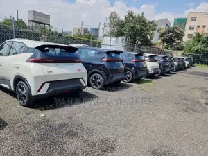 New BYD Seagull 2024 Ivory