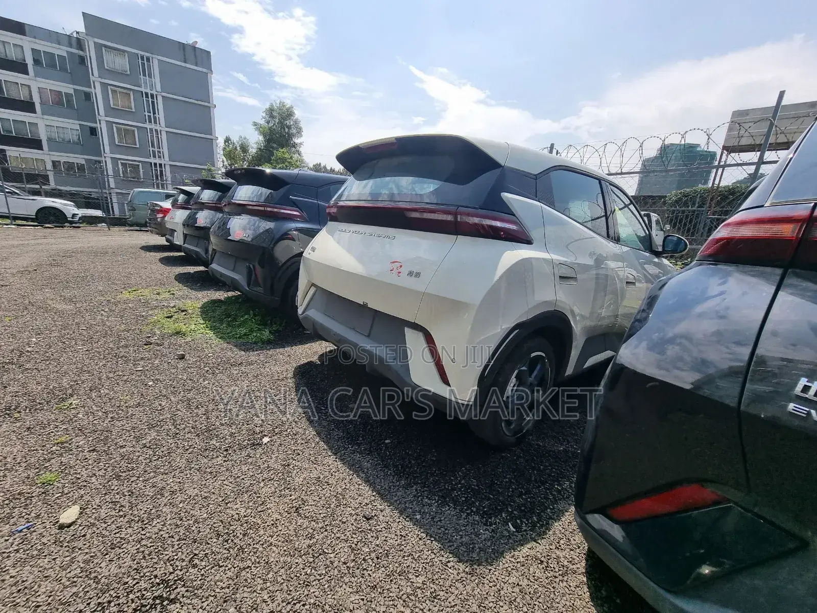 New BYD Seagull 2024 Ivory