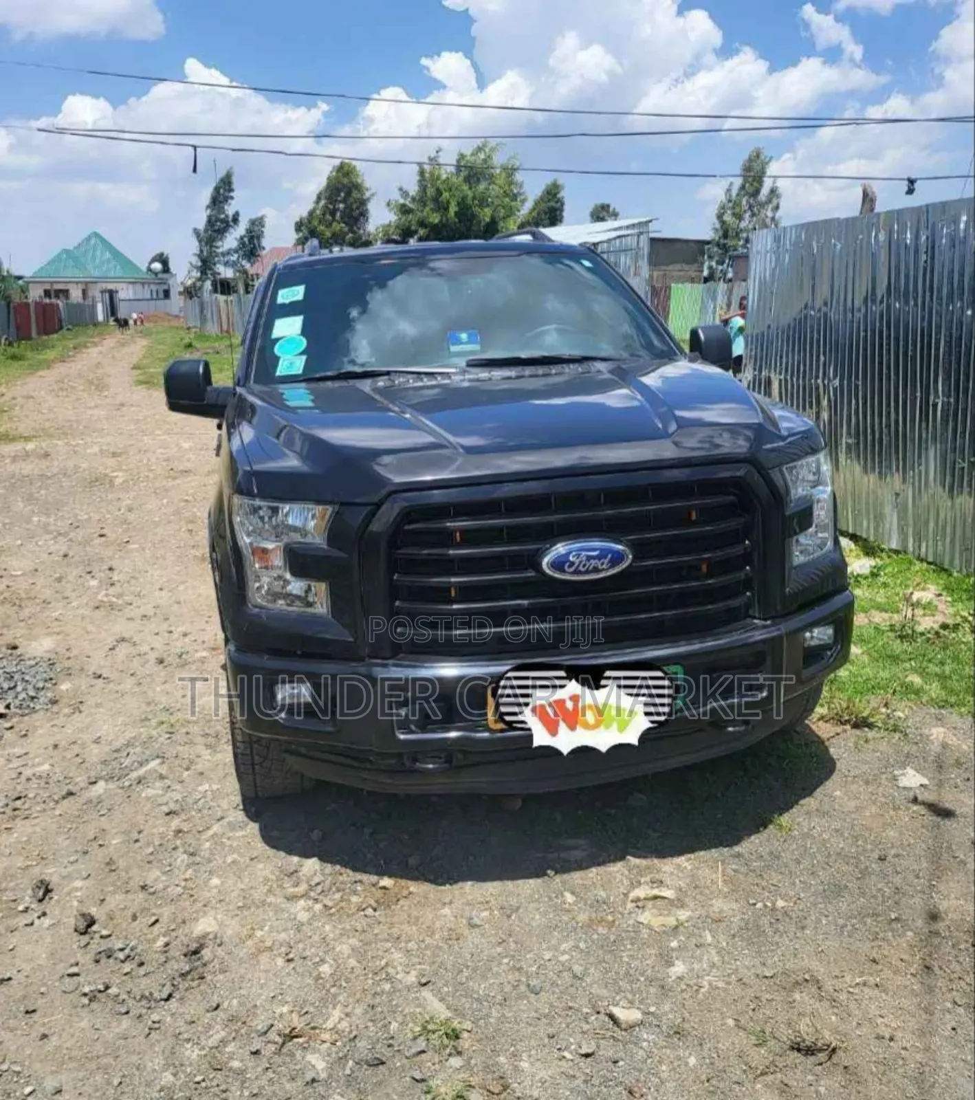 Ford F-150 2016 Gray