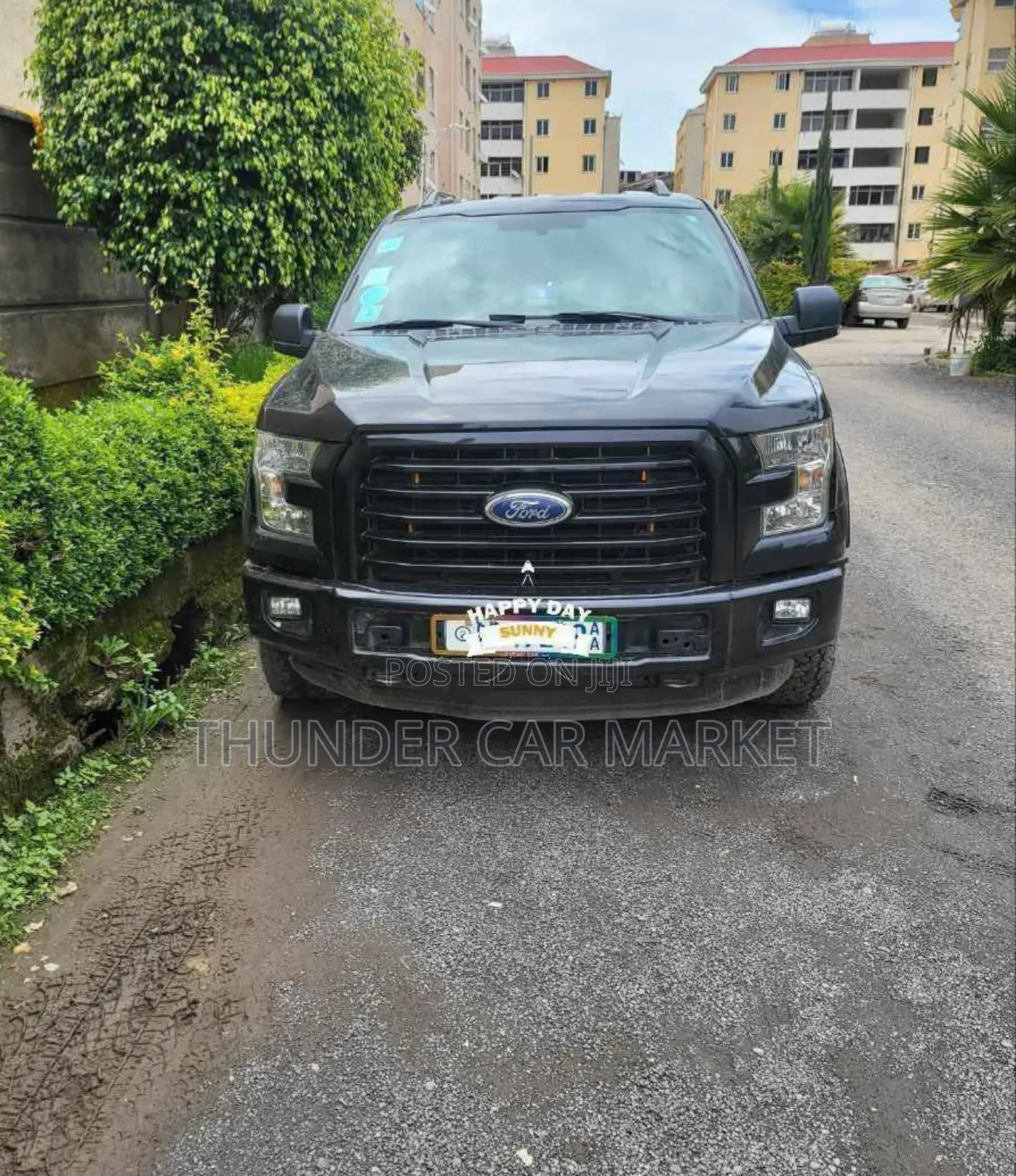 Ford F-150 2016 Gray