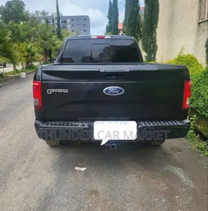 Ford F-150 2016 Gray