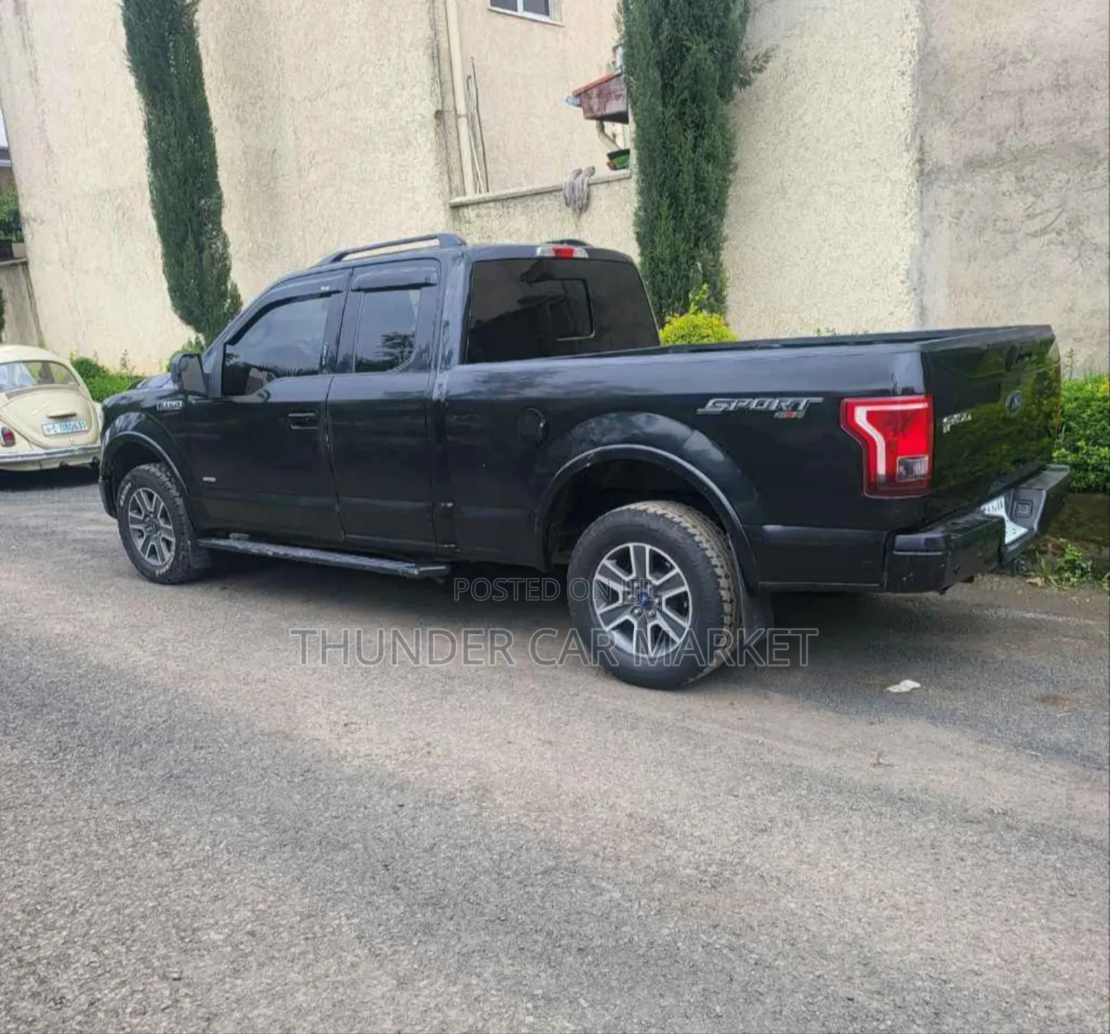 Ford F-150 2016 Gray