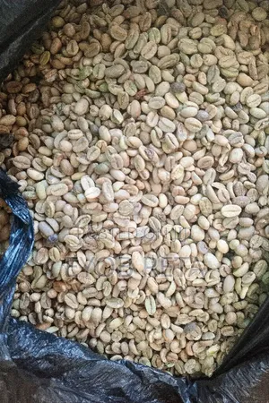 የጅማ ቡና Jimma Coffee