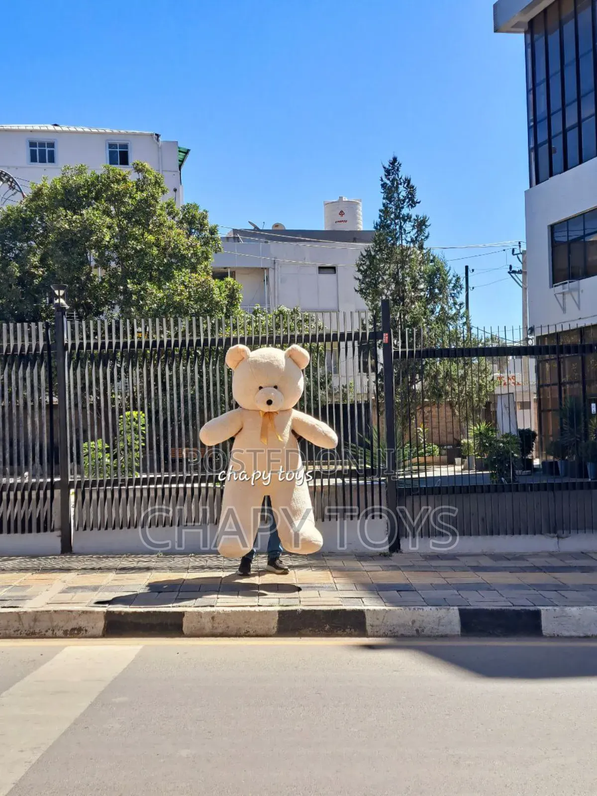 Chapy Toys Size 2 Meter Light Cream(White) Teddy Bear