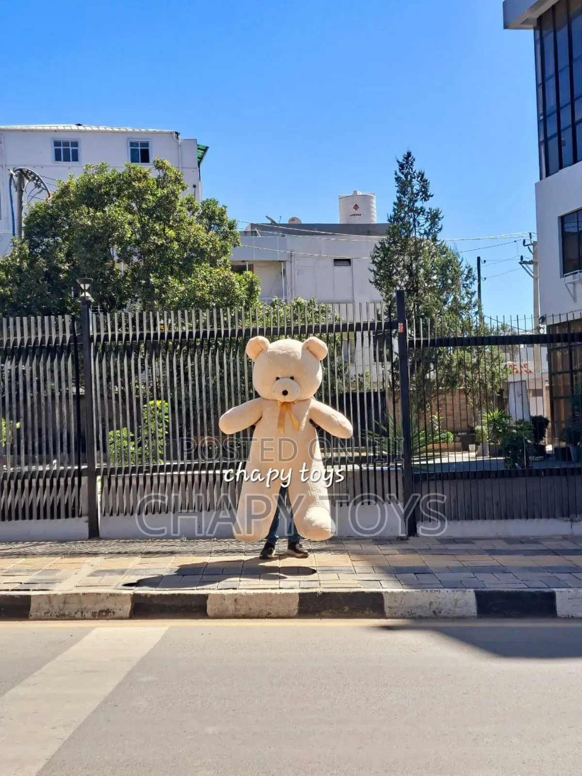 Chapy Toys Size 2 Meter Light Cream(White) Teddy Bear