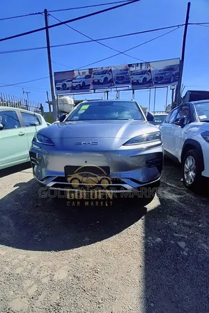 Photo - New BYD Song Plus 2024 Gray