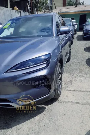 New BYD Song Plus 2024 Gray