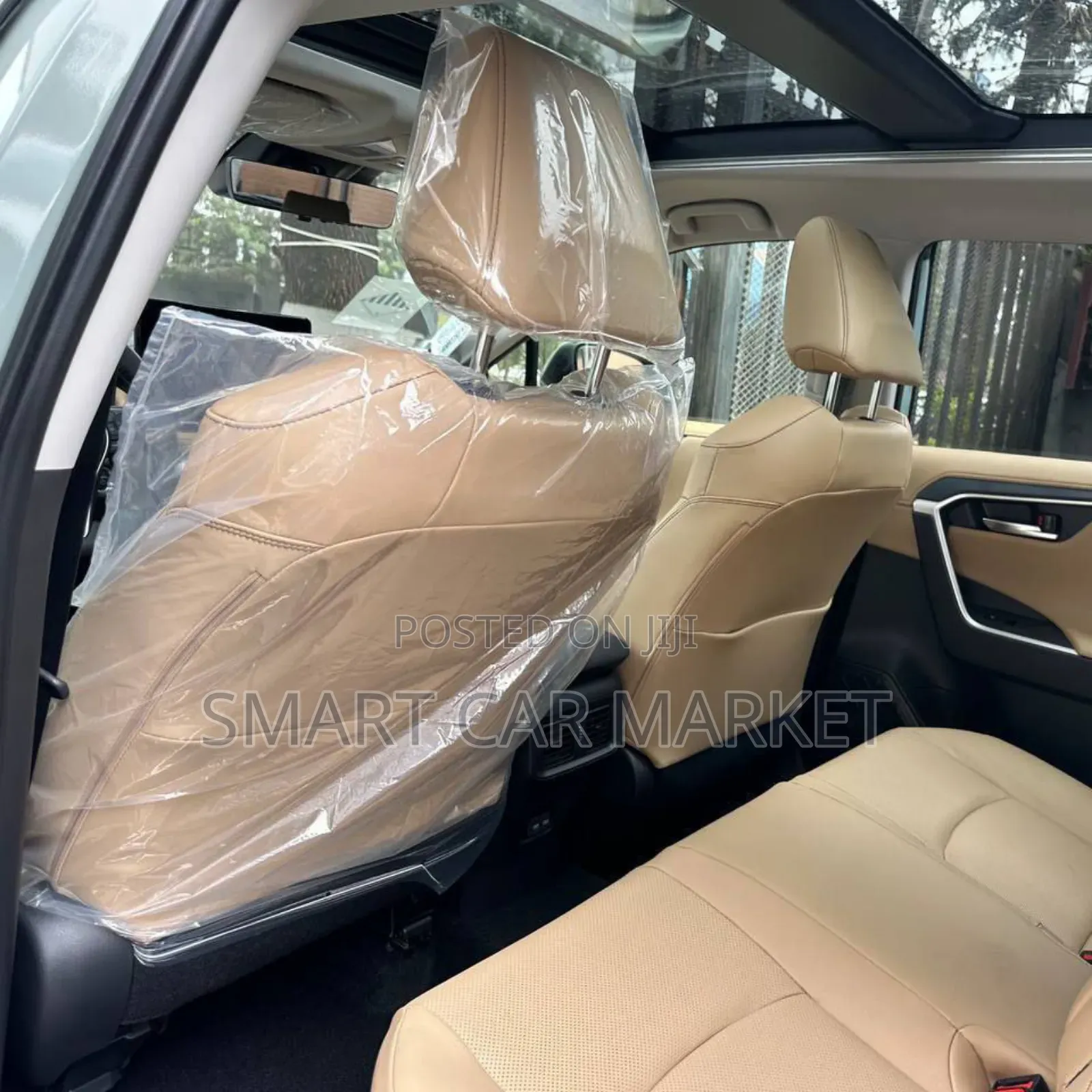 New Toyota RAV4 LE AWD 2023 Green