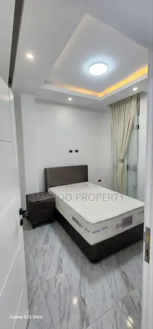 Furnished 2bdrm Apartment in Bole for rent