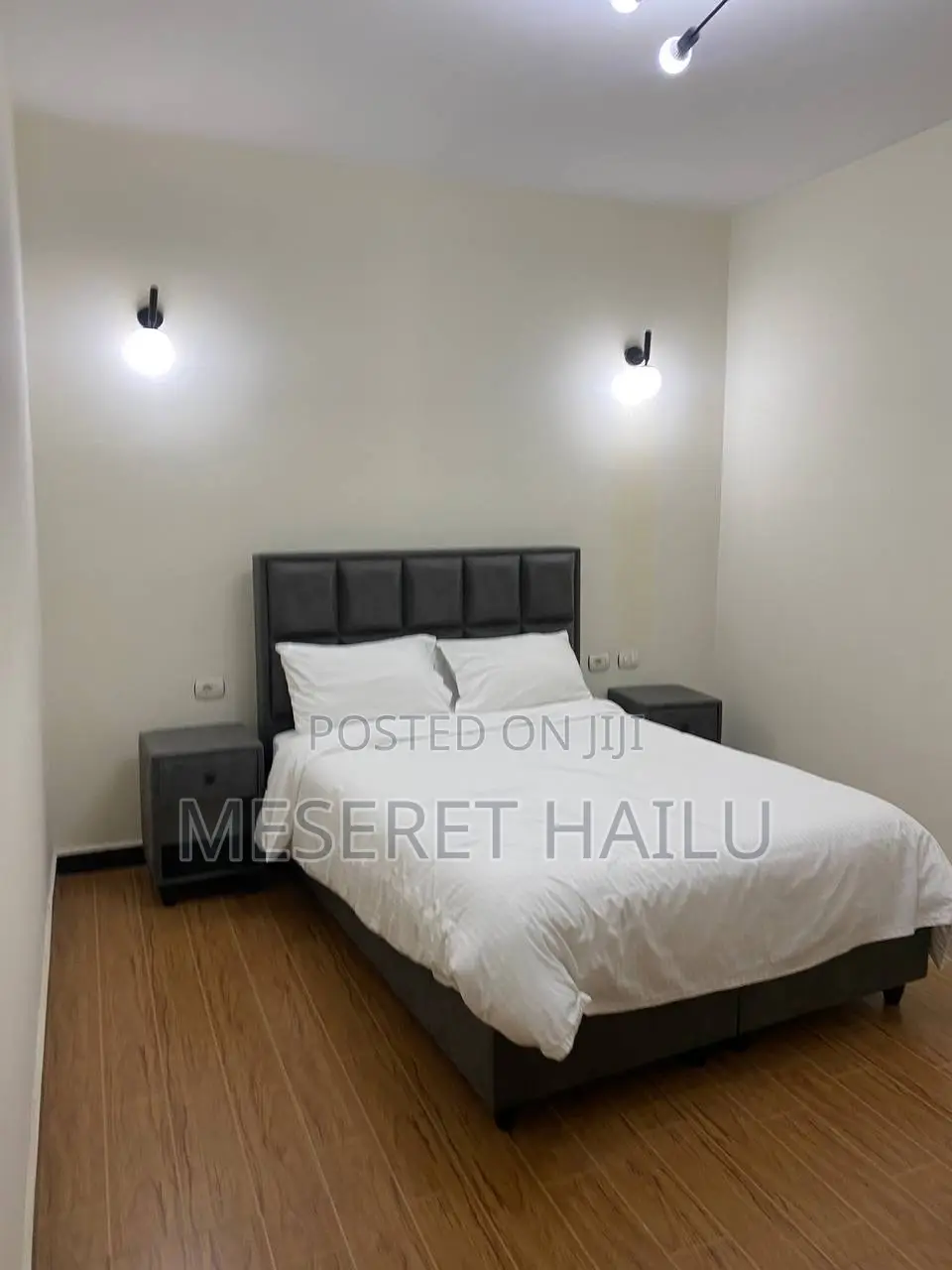 Furnished 1bdrm Apartment in Bole Atelase for rent