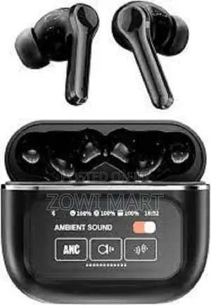 ANC/ENC Double Dark Noise Reduction Touch Control Earbuds