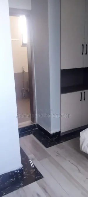 Urgently Available Penthouse for Rent, 6 Bedrooms, Furnishe.