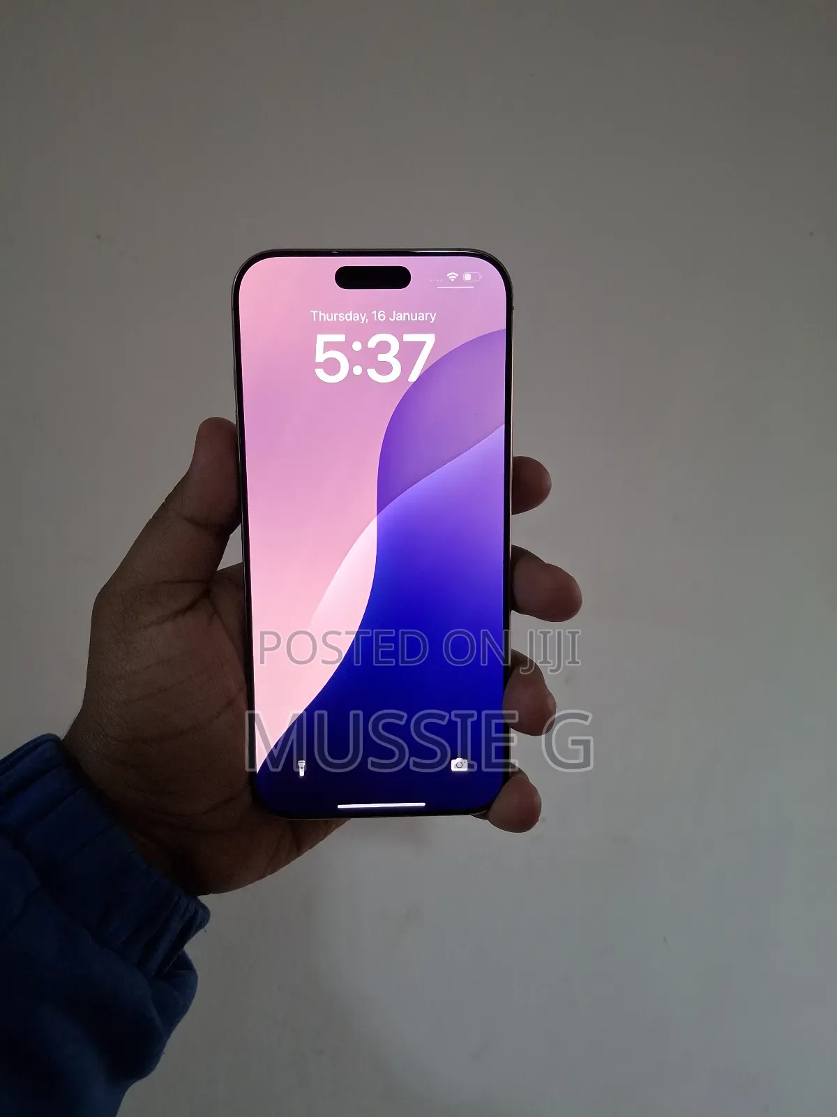 New Apple iPhone 16 Pro Max 256 GB Gold