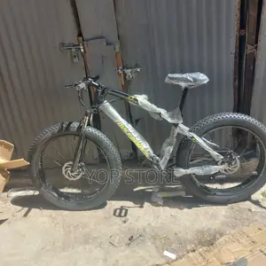 Fat Tire Mountain Bicycle