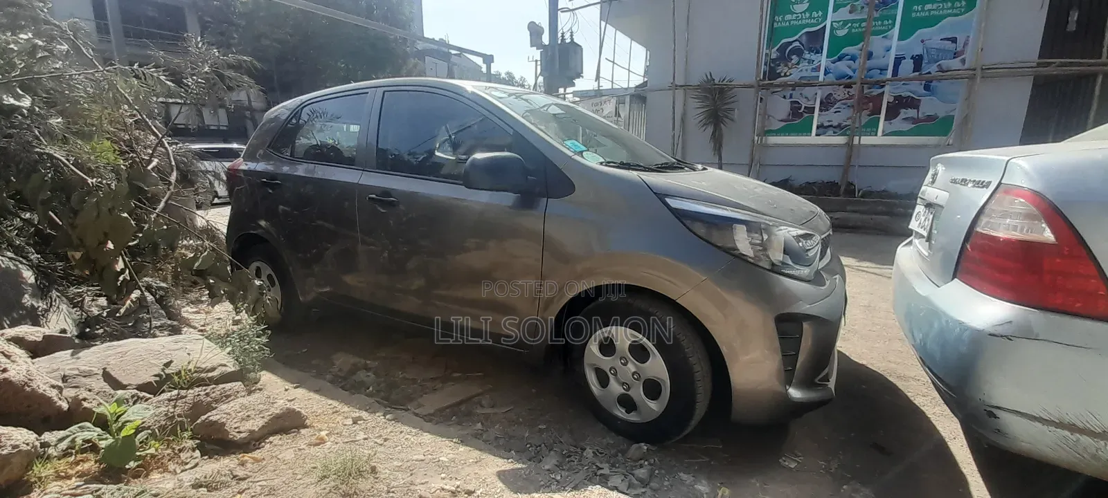 Kia Picanto 2020 Gray