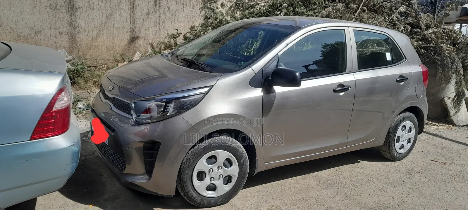 Kia Picanto 2020 Gray