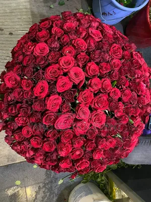 ያሆ የሽምግልና አበባ ስጦታ