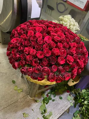 ያሆ የሽምግልና አበባ ስጦታ