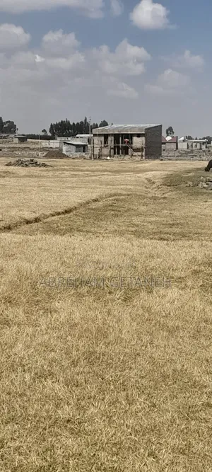 ሱሉልታ ጦቢያ ፊት ለፊት ምርጥ ሰፈር