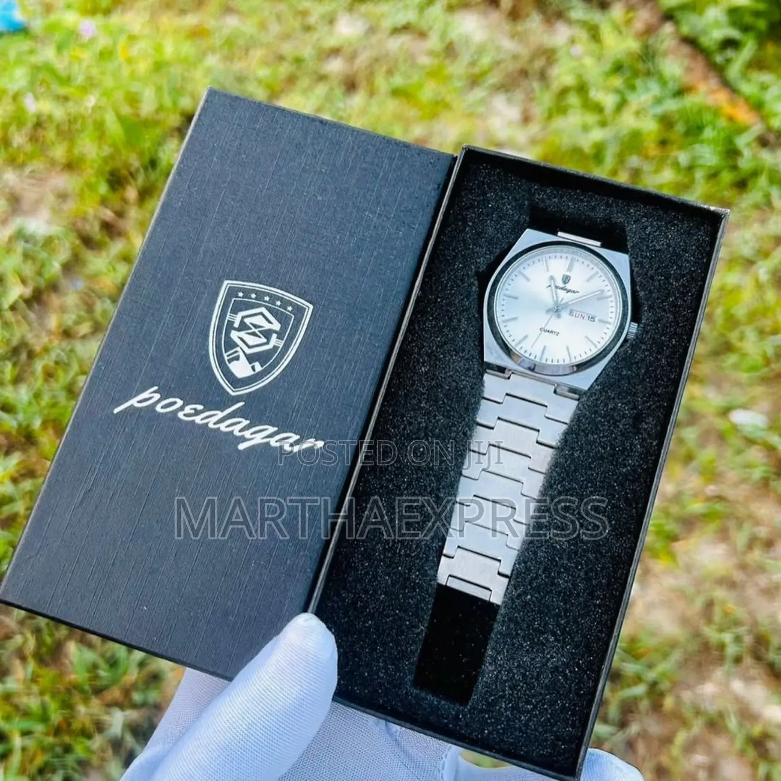 Poedagar Luxury Mens Quartz Watch