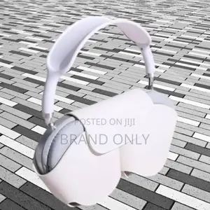 Apple Max Loud Easy Volume Control Options