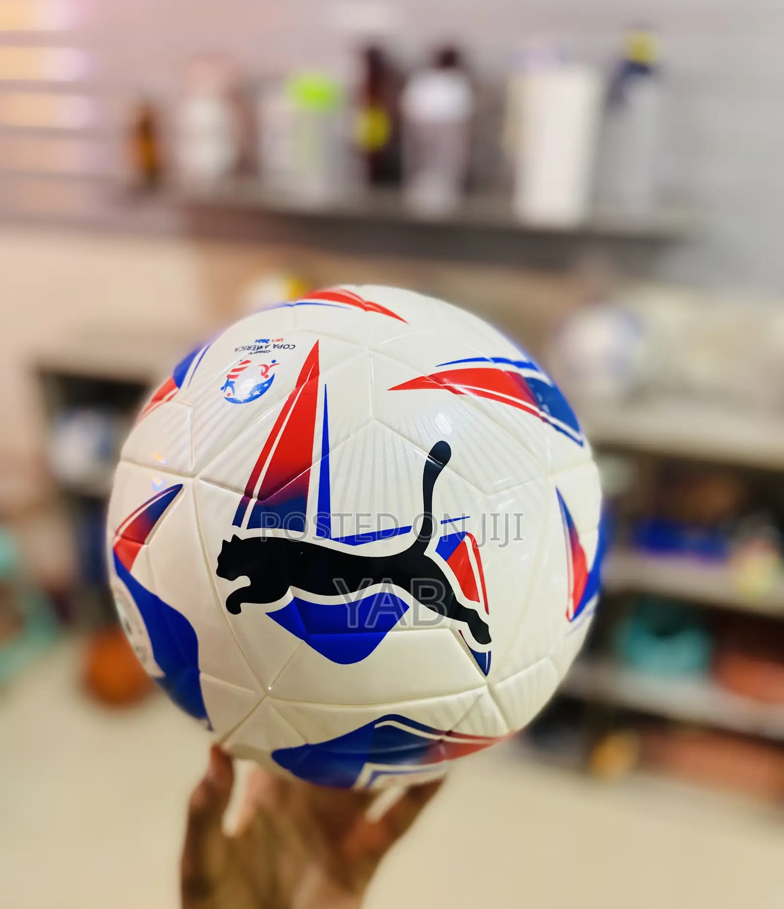 Puma Copa America Ball