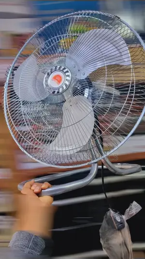 Crown Stand Fans Stainless Steel Home Division Delivery