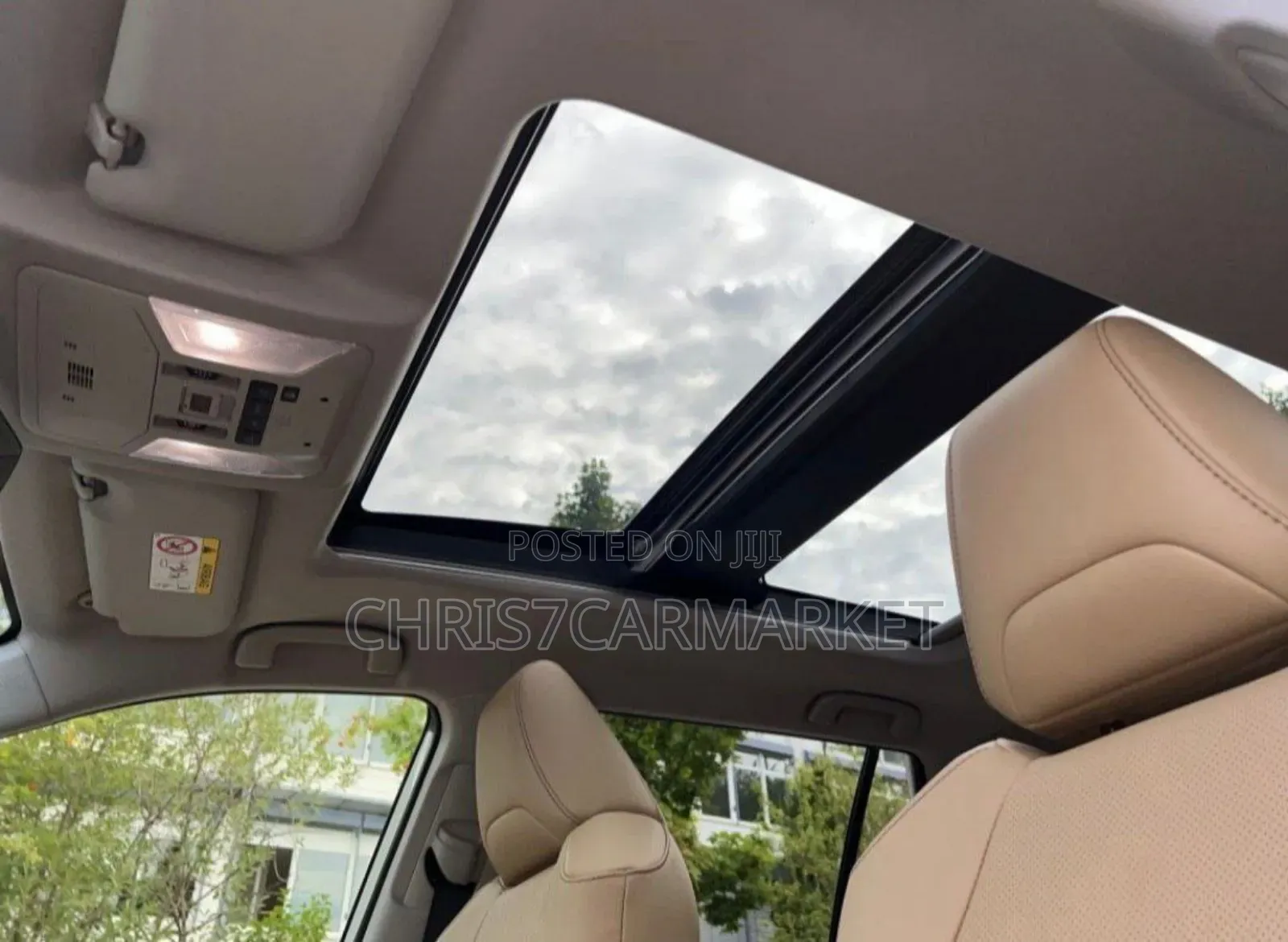 Toyota RAV4 Limited AWD 2019 Green